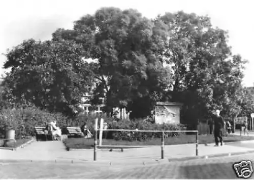 AK, Göhren Rügen, Straßenpartie, 1970