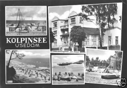 AK, Kölpinsee Usedom, fünf Abb., 1966