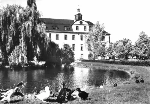 AK, Saalfeld Saale, Schloß im Kulturpark, 1979