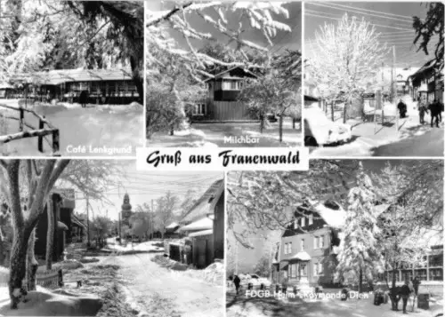 AK, Frauenwald Thür., fünf Winteransichten, 1976