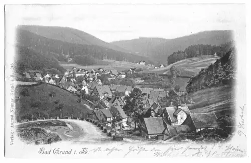 AK, Bad Grund im Harz, Teilansicht, Lichtdruck, 1901