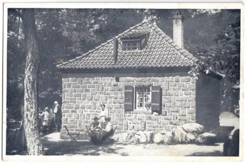 AK, Neustadt an der Weinstraße, Hellerplatzhütte von Westen, um 1920