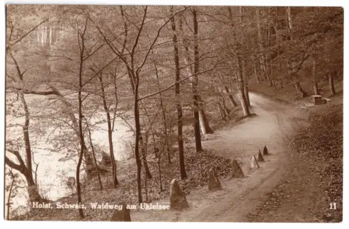 AK, Malente-Gremsmühlen, Waldweg am Ukeleisee, 1927