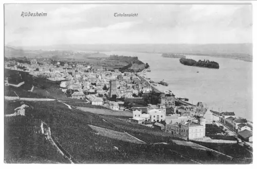 AK, Rüdesheim am Rhein, Teilansicht, 1906