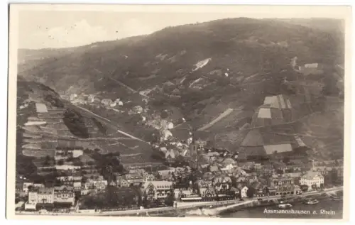 AK, Assmannshausen, Luftbildansicht, 1929