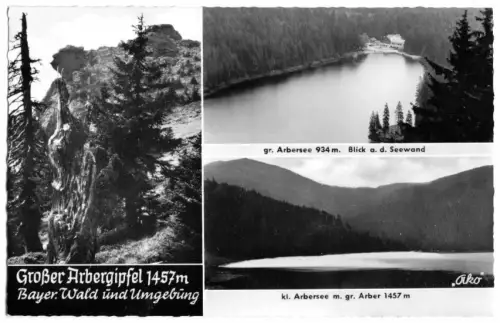 AK, Großer Arbergipfel Bayer. Wald und Umgebung, drei Abb., 1959