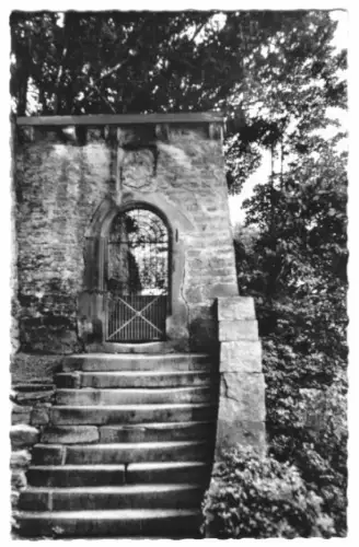 AK, Mosbach Baden, Schloß Hochhausen am Neckar, um 1962