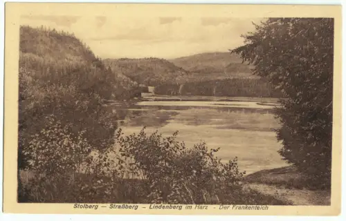 AK, Straßberg Südharz, Der Frankenteich, um 1928