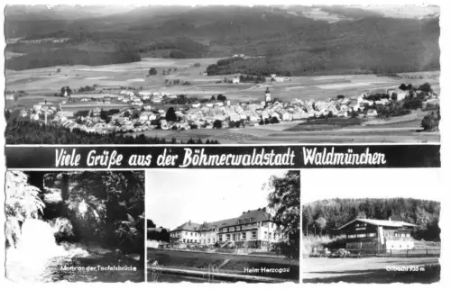 AK, Waldmünchen, vier Abb., 1959