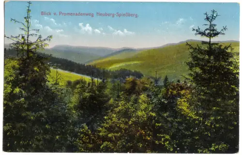 AK, Friedrichroda Thür., Bl. v. Promenadenweg Heuberg - Spießberg, um 1912