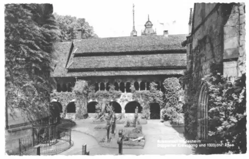 AK, Hildesheim, Doppelter Kreuzgang und Rose, 1956