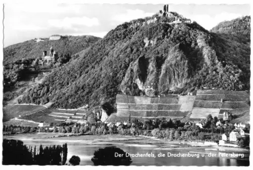 AK, Bad Godesberg, Der Drachenfels, die Drachenburg und der Petersberg, um 1960
