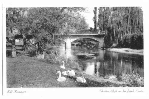 AK, Bad Kissingen, Idyll an der fränk. Saale, 1956