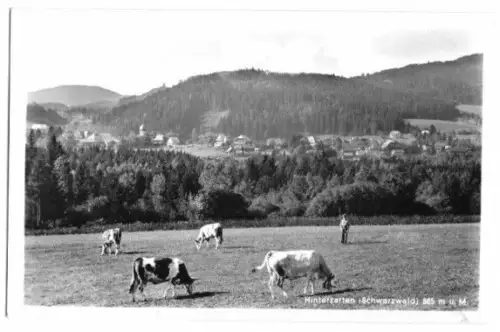 AK, Hinterzarten Schwarzw., Totale, 1950