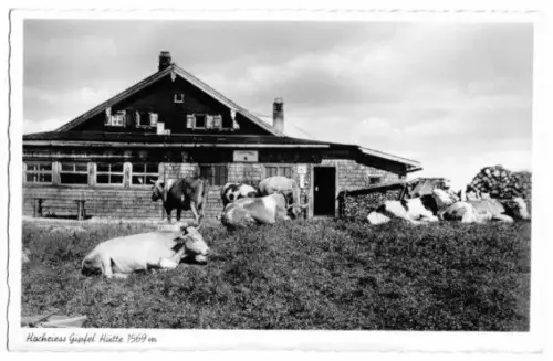 AK, Hochries-Hütte, belebt, um 1954