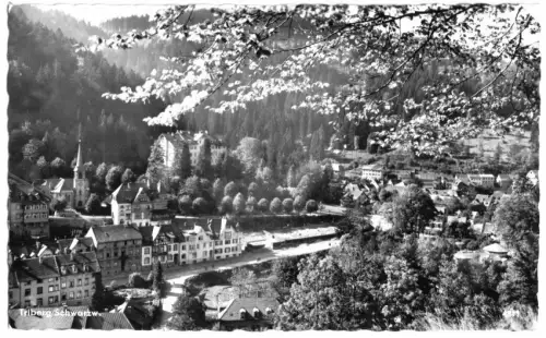 AK, Triberg Schwarzw., Teilansicht, um 1960