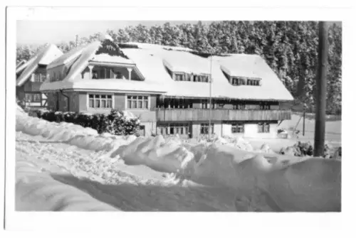 AK, Friedenweiler Schwarzw., Pension Ebi, 1955