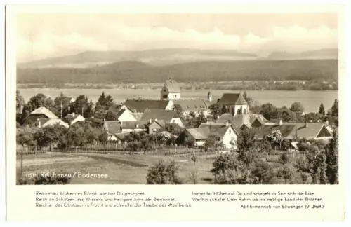 AK, Insel Reichenau Bodensee, Teilansicht mit Text, um 1954