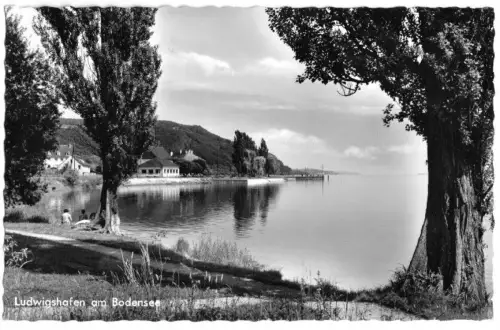 AK, Bodmann - Ludwigshafen am Bodensee, Teilansicht, 1963