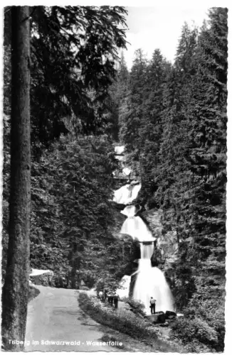 AK, Triberg im Schwarzwald, Wasserfälle, 1957
