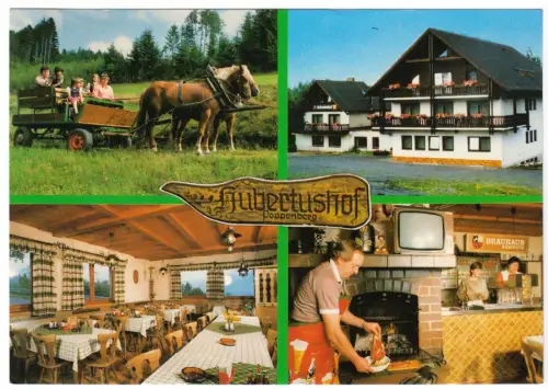 AK, Poppenburg Opf., Gasthof-Pension Hubertushof, vier Abb., 1991