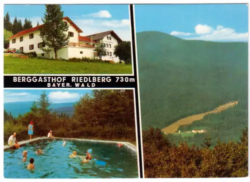 AK, Oberried - Wald b. Bodenmais, Pension Riedelberg, drei Abb., um 1972