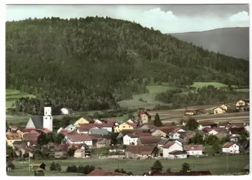 AK, Miltach Bayer. Wald, Teilansicht, 1967