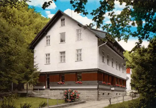 AK, Ottenhöfen Schwarzwald, Waldhotel - Edelfrauengrab - Grillrestaurant, 1970