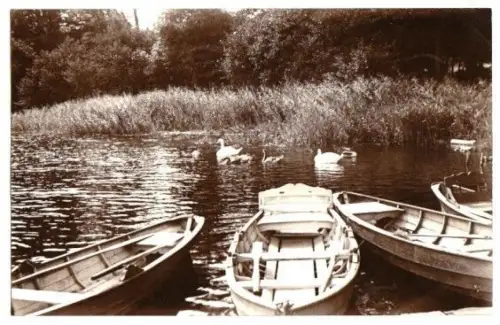 AK, Seebad Ahlbeck Usedom, Partie am Wolgaster See, um 1930