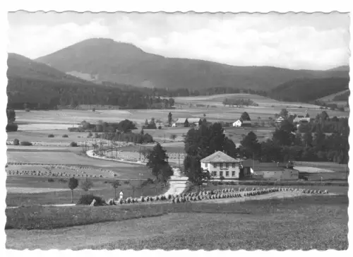 AK, Zittauer Gebirge, Saalendorf, Blick nach Saalendorf u. d. Lausche, 1962