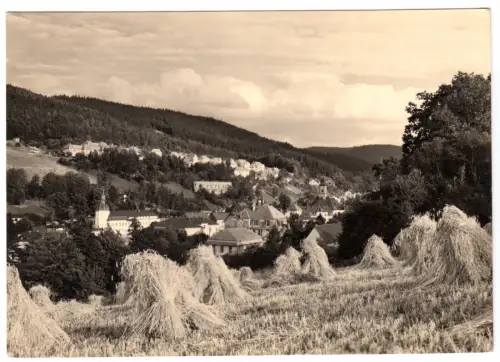 AK, Schmiedeberg Erzgeb., Teilansicht mit Getreidehocken, 1963