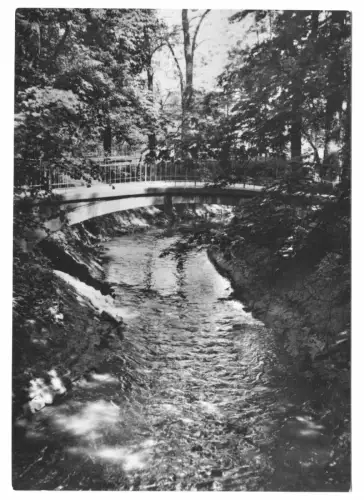 AK, Riesa, Stadtpark, Partie an der Jahna, um 1968