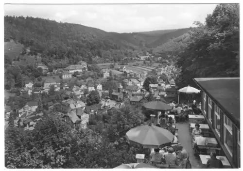 AK, Schwarzburg Thür., Blick von der Hotelterrasse "Schwarzaburg", 1966