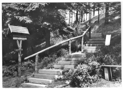 AK, Oberhof Thür. Wald, Partie im Rennsteiggarten, 1976