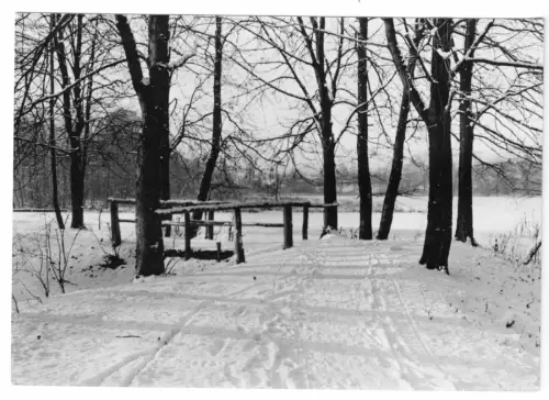 AK, Grünheide Mark, OT Alt Buchhorst, Am Sprudel, Winteransicht, 1964