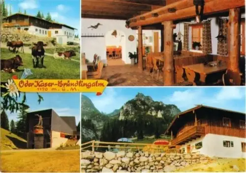 AK, Bergen, Öder Kaser-Bründlingalm, 4 Abb., um 1974