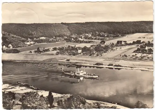 AK, Diesbar-Nieschütz a.d. Elbe, Totale mit dem Golkwald, 1959