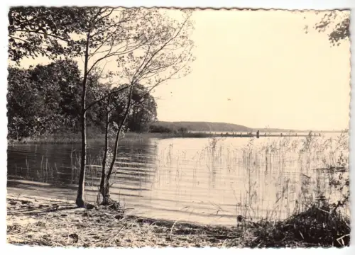 AK, Lenz am Plauer See, Seeansicht, 1963