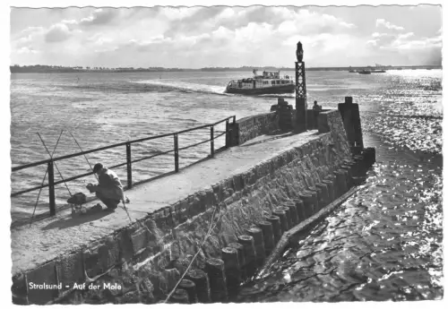 AK, Stralsund, Auf der Mole, Angler, 1963