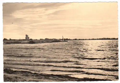 AK, Magdeburg, Partie am Barleber See, 1960