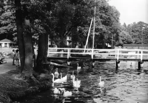 AK, Bad Saarow Pieskow, Schwanenwiese, 1975