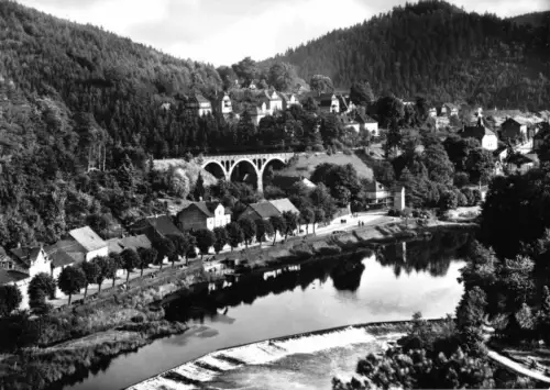 AK, Ziegenrück, Teilansicht mit Viadukt, 1971