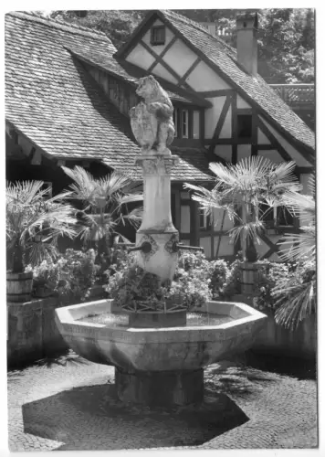 AK, Meersburg am Bodensee, Bärenbrunnen, um 1970