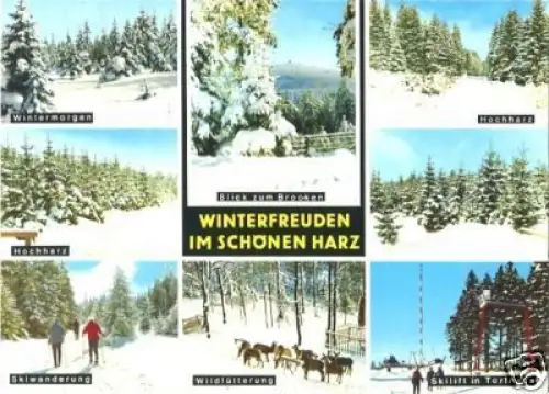 AK, Winterfreuden im schönen Harz, 1979