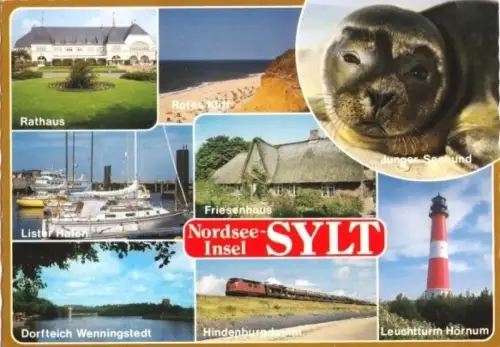 AK, Nordseeinsel Sylt, 8 Abb., 1991