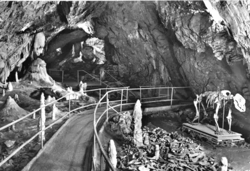 AK, Rübeland Harz, Hermannshöhle, Bärenfriedhof, 1980