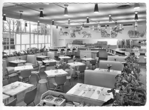 AK, Berlin Tiergarten, Hilton-Hotel, Coffee House, um 1970