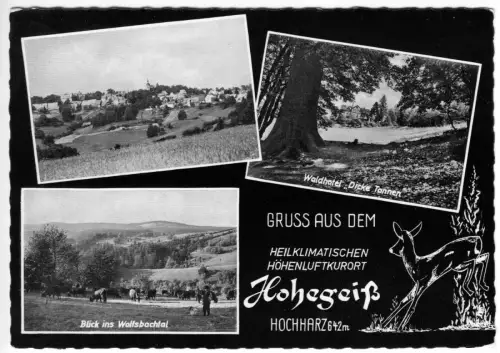 AK, Hohegeiß Hochharz, drei Abb., gestaltet, 1962