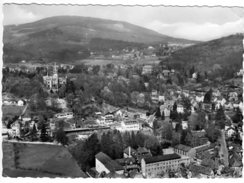 AK, Königstein Taunus, Blick von der Burgruine, 1961