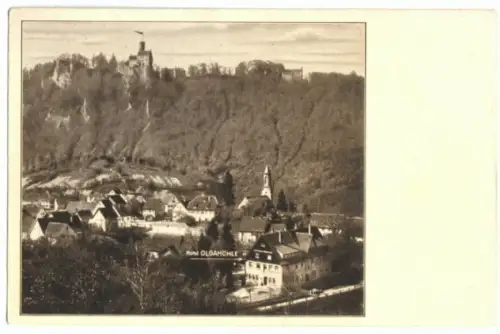 AK, Honau Schwäb. Alb, Hotel Olgahöhe, um 1930